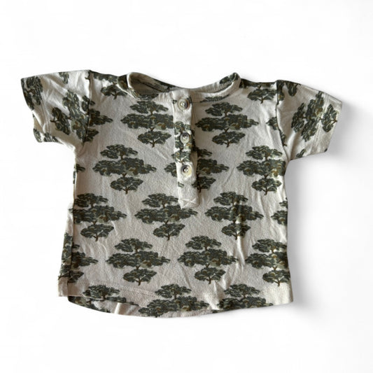 3-6 months Kate Quinn Henley